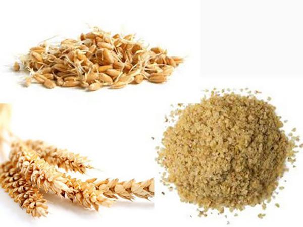 مزایای آرد جوانه گندم در حلوا سیاه اردبیلی